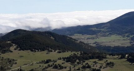 Belcaire Terrain à bâtir - 2368918-11456annonce120250805DpuNh.jpeg Maisons Open