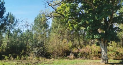 Le Barp Terrain à bâtir - 2368971-3957annonce120251215CRLg6.jpeg Maisons Open