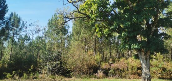 Terrain à bâtir à Le Barp, Nouvelle-Aquitaine