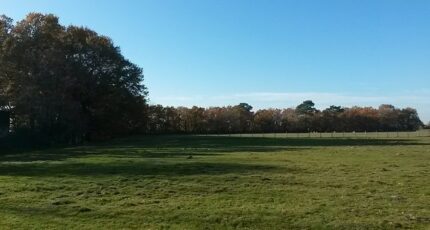 Marmande Terrain à bâtir - 2369153-3957annonce120251215U3oCx.jpeg Maisons Open