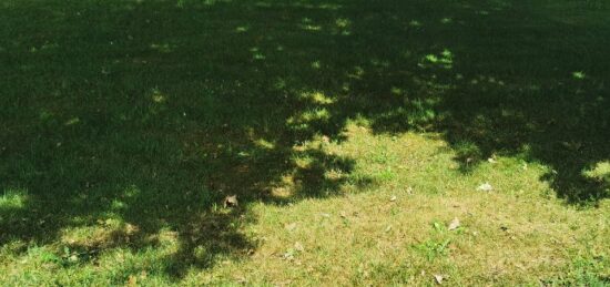 Terrain à bâtir à Le Temple, Nouvelle-Aquitaine