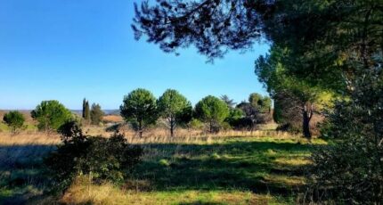 Alignan-du-Vent Terrain à bâtir - 2369358-11507annonce120251216SphWo.jpeg Maisons Open