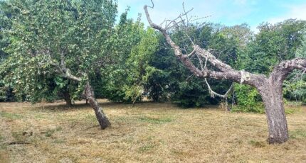 Montpon-Ménestérol Terrain à bâtir - 2369947-5020annonce1202512168X2Qr.jpeg Maisons Open