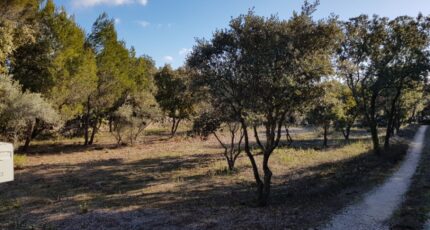 Saint-Restitut Terrain à bâtir - 2370282-6150annonce120251216IS8xd.jpeg Maisons Open