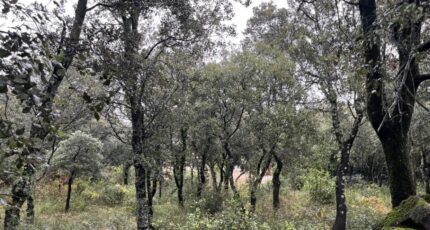 Saint-Restitut Terrain à bâtir - 2370282-6150annonce120251216uoHw0.jpeg Maisons Open