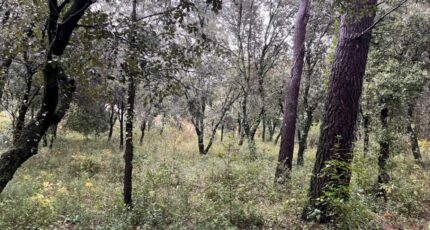 Saint-Restitut Terrain à bâtir - 2370282-6150annonce320251216b8IhB.jpeg Maisons Open