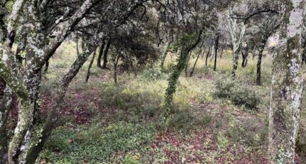 Saint-Restitut Terrain à bâtir - 2370282-6150annonce5202512169qwiw.jpeg Maisons Open