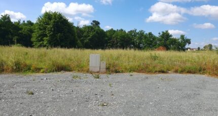 Pugnac Terrain à bâtir - 2344474-11015annonce120251120cddsS.jpeg Maisons Open