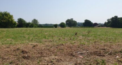 Prignac-et-Marcamps Terrain à bâtir - 2372467-11015annonce120251218BaNsk.jpeg Maisons Open