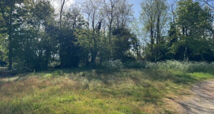 Lesparre-Médoc Terrain à bâtir - 2372617-10624annonce2202511058xDhX.jpeg Maisons Open