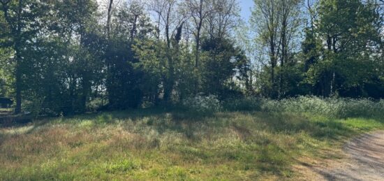 Terrain à bâtir à , Gironde