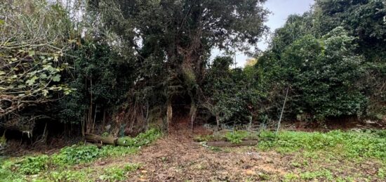 Terrain à bâtir à Six-Fours-les-Plages, Provence-Alpes-Côte d'Azur