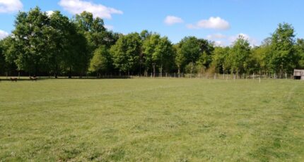 Beaupouyet Terrain à bâtir - 2373281-5020annonce120251219WpFsw.jpeg Maisons Open