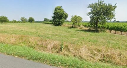 Donnezac Terrain à bâtir - 2369744-11516annonce120251216BchKT.jpeg Maisons Open