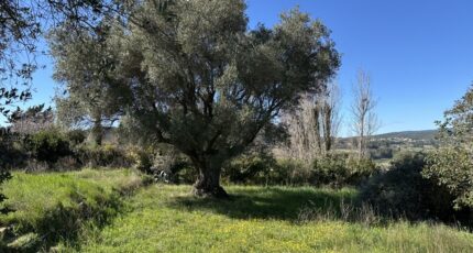 Puget-Ville Terrain à bâtir - 2290079-4590annonce120251001ioh9E.jpeg Maisons Open