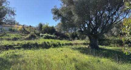 Puget-Ville Terrain à bâtir - 2290079-4590annonce220251001Oce5A.jpeg Maisons Open