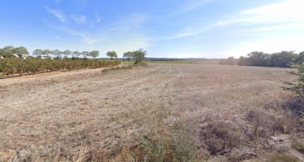 Alignan-du-Vent Terrain à bâtir - 2375596-11018annonce2202509037VtTd.jpeg Maisons Open