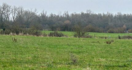 Béthune Terrain à bâtir - 2375473-5804annonce120251223Vo7LF.jpeg Maisons Open