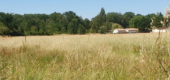Terrain à bâtir à Saint-Christoly-de-Blaye, Nouvelle-Aquitaine
