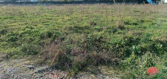 Terrain à bâtir à Gauriaguet, Nouvelle-Aquitaine