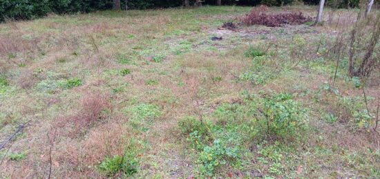 Terrain à bâtir à Le Teich, Nouvelle-Aquitaine