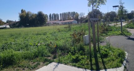 Saint-Laurent-Médoc Terrain à bâtir - 2377031-11193annonce120251229PHTLU.jpeg Maisons Open