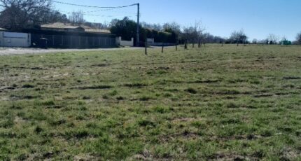 Baigneaux Terrain à bâtir - 2377075-1686annonce120250801fbpgv.jpeg Maisons Open