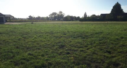 Brach Terrain à bâtir - 2377110-11689annonce12025112769fBB.jpeg Maisons Open