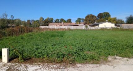 Listrac-Médoc Terrain à bâtir - 2377084-11193annonce120251229PGID7.jpeg Maisons Open