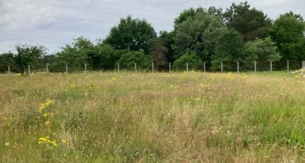 Les Peintures Terrain à bâtir - 2377239-11367annonce120251229KDkIp.jpeg Maisons Open