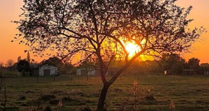 Cavignac Terrain à bâtir - 2347059-11687annonce120251123Ozz1B.jpeg Maisons Open