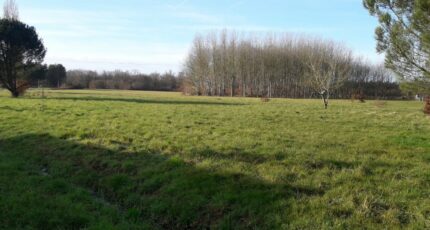 Chenaud Terrain à bâtir - 2377256-11367annonce120251229FmySt.jpeg Maisons Open