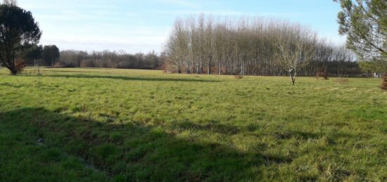 Terrain à bâtir à Chenaud, Nouvelle-Aquitaine