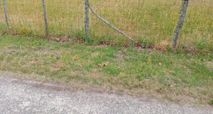 Sanguinet Terrain à bâtir - 2377505-1072annonce120251229PZQ8g.jpeg Maisons Open