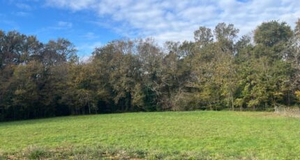 Bouliac Terrain à bâtir - 2377882-11686annonce120251127IVyQ0.jpeg Maisons Open