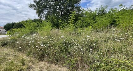 Biganos Terrain à bâtir - 2377898-11686annonce120251127Nh6Xa.jpeg Maisons Open