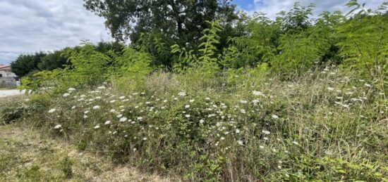 Terrain à bâtir à Biganos, Nouvelle-Aquitaine