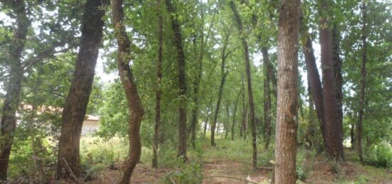 Terrain à bâtir à Le Teich, Nouvelle-Aquitaine