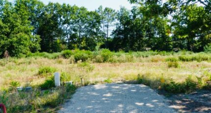 Saint-Aubin-de-Médoc Terrain à bâtir - 2377915-11686annonce120251127XCwnm.jpeg Maisons Open