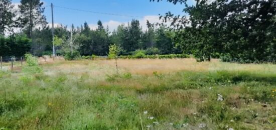 Terrain à bâtir à Le Porge, Nouvelle-Aquitaine