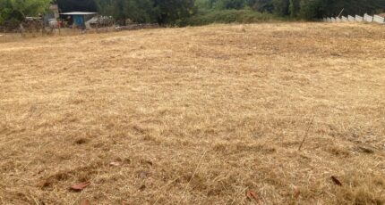 La Roche-Chalais Terrain à bâtir - 2378192-11367annonce120251229FAno6.jpeg Maisons Open