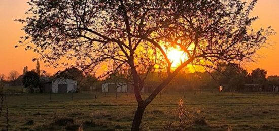 Terrain à bâtir à , Gironde