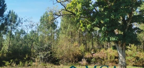 Terrain à bâtir à Hourtin, Nouvelle-Aquitaine