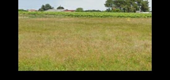 Terrain à bâtir à Berson, Nouvelle-Aquitaine