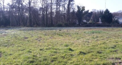 Sanguinet Terrain à bâtir - 2378675-3957annonce120251230zysxE.jpeg Maisons Open