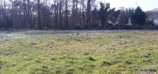 Terrain à bâtir à Sanguinet, Nouvelle-Aquitaine