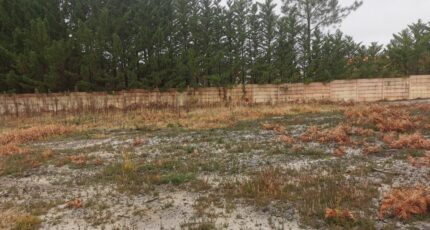 Biscarrosse Terrain à bâtir - 2378777-3957annonce120251230R36Bt.jpeg Maisons Open