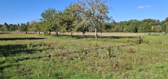 Terrain à bâtir à Bergerac, Nouvelle-Aquitaine