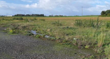 Sains-en-Gohelle Terrain à bâtir - 2318973-5754annonce3202510271LVcX.jpeg Maisons Open