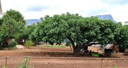 La Valette-du-Var Terrain à bâtir - 2379325-11079annonce220250901GGvqz.jpeg Maisons Open